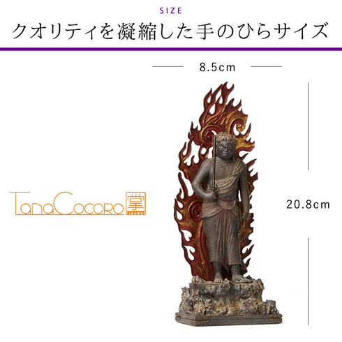 イスム TanaCOCORO 不動明王立像.|s7